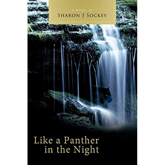 Pre-Owned Like a Panther in the Night, 9781449716615, 144971661X, Paperback,