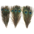 thumbnail image 4 of 30PCS Peacock Feathers 10-12 Inch, Green Peacock Eye Feathers for DIY Crafts Art Halloween Mardi Gras Masquerade Costume Wedding Home Party Christmas Decorations, 4 of 7