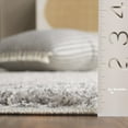 thumbnail image 5 of SAFAVIEH Border & Stripe Hyram Bordered Shag Area Rug, Ivory/Grey, 4'5" x 6'5", 5 of 8
