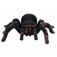 thumbnail image 3 of For Rc Spider Realistic Infrared Rc Animal Tarantula With Lighting Remote Control |rc Animals Ws1030 Banmo, 3 of 5