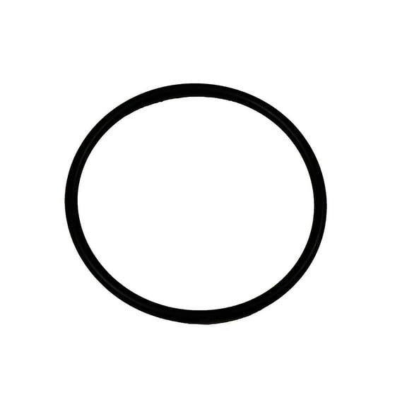 GM 12601645 Fuel Injection Pump Seal