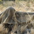 thumbnail image 3 of Arcturus Sniper Veil (Coyote Brown), 3 of 5