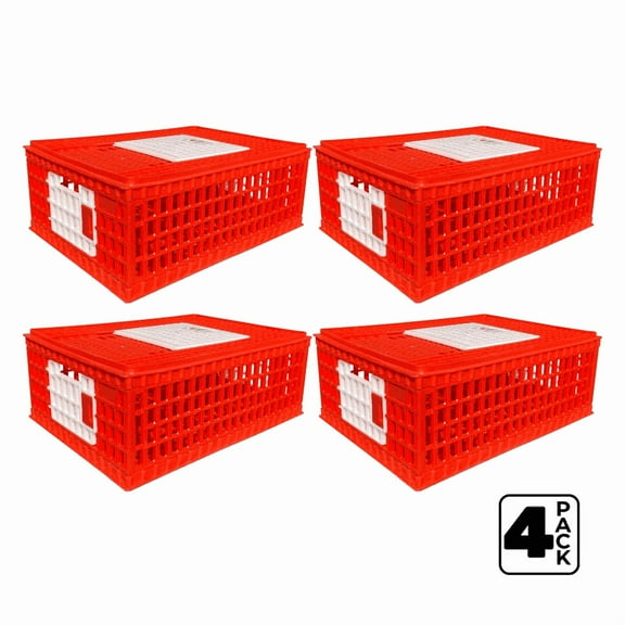 RentACoop Stackable Poultry Carrier Crate (Pack of 4) 29" L x 22" W x 12" H for Chickens