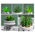 thumbnail image 2 of Decoración artificial de plantas pseudosuculentas en maceta compatible con estantería B, 2 of 5