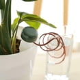 thumbnail image 3 of Self Watering System, 4pcs Automatic Water Drip, Outdoor No Battery Indoor for Flower Plant, 3 of 7