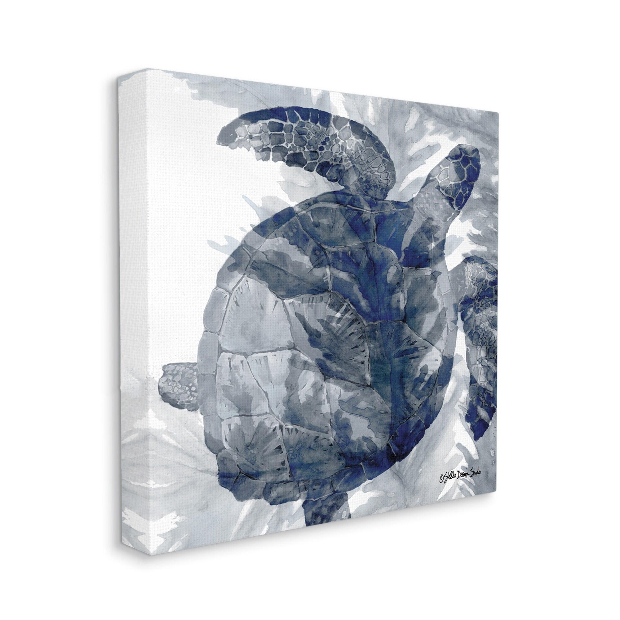 Stupell Industries Lingering Sea Turtle Overlapping Seaweed Reptile Watercolor Painting,36 x 36, Design by Stellar Design Studio