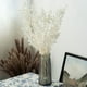thumbnail image 2 of Flores de Ruscus Secas para Siempre de 45Cm DecoracióN Floral DIY Ramo de Flores Secas para DecoracióN del Hogar de Boda, 2 of 5