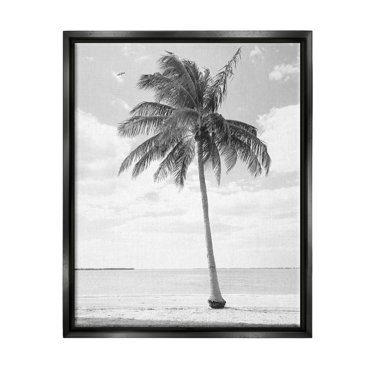 Stupell Industries Single Palm Tree Monochrome Tropical Beach Plant Photograph Jet Black Floating Framed Canvas Print Wall Art, Design by Graffitee Studios