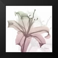 thumbnail image 2 of Koetsier, Albert 20x20 Black Modern Framed Museum Art Print Titled - Neapolitan Lily, 2 of 5