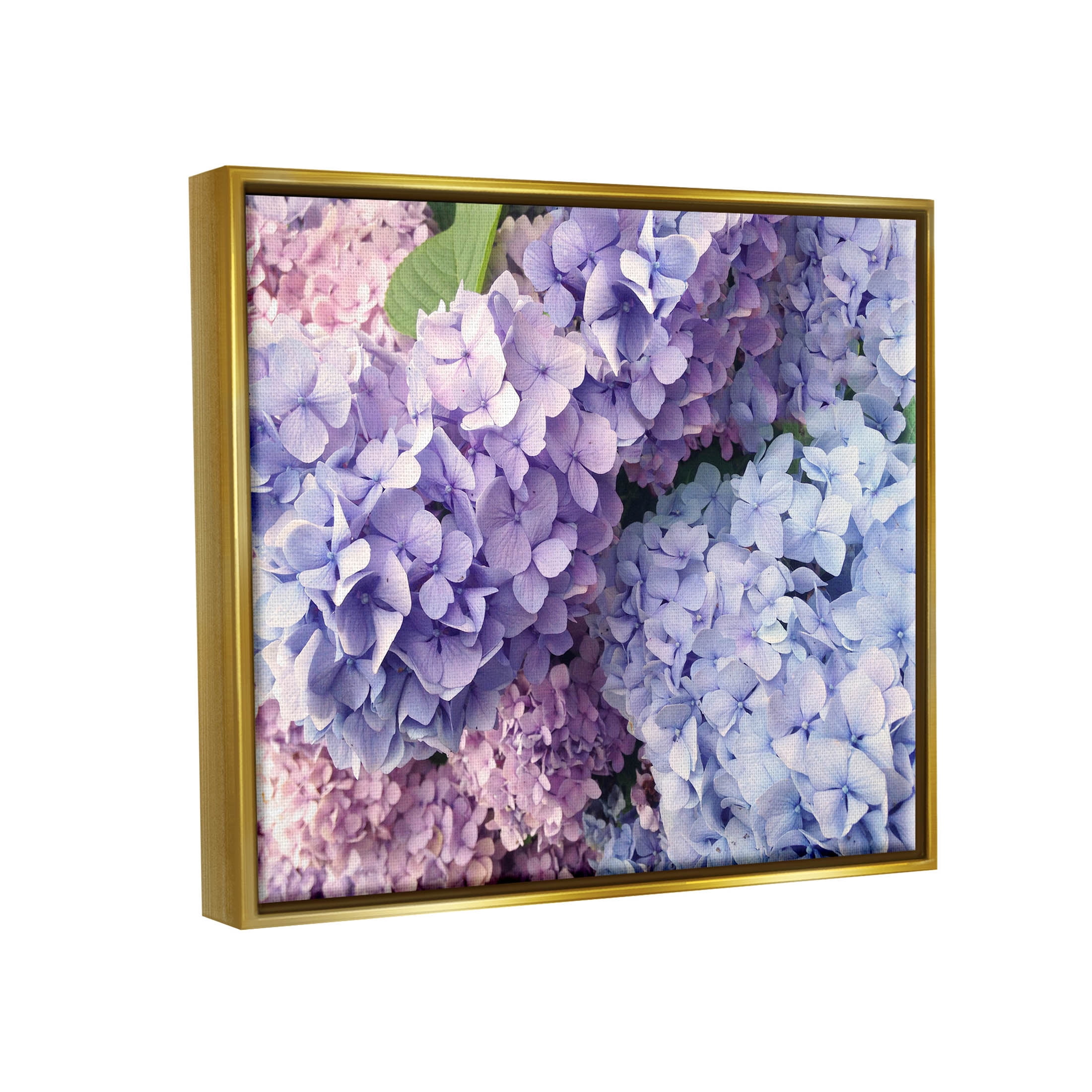 Pastel Hydrangea Flower Petals Botanical & Floral Photograph Metallic Gold Framed Art Print Wall Art