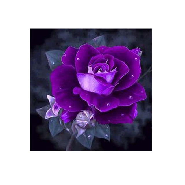 Diamante de imitación DIY pintura diamante púrpura rosa punto de cruz escuela pared decoración bordado imagen costura costura dibujo tholdsy JJ12210-00