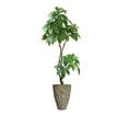 thumbnail image 1 of Vintage Home Artificial Faux Real Touch 85" Tall Pachira Aquatica Real Touch And Fiberstone Planter, 1 of 3