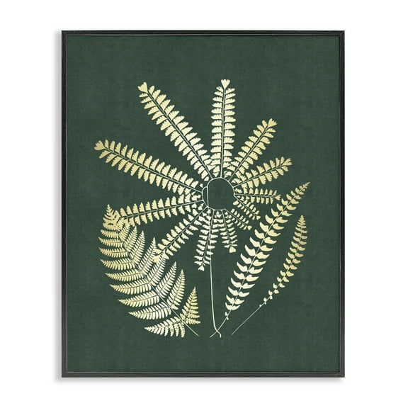 Stupell Industries Fern Sprigs Flower Shape Plants & Flowers Painting Black Framed Art Print Wall Art, 11 x 14