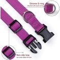 thumbnail image 3 of Reflective Dog Collar with Buckle Adjustable Safety Nylon Collars for Small Medium Large Dogs, Pink S Purple S, 3 of 4