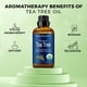 thumbnail image 5 of Aceite Esencial Nexon Botanics Árbol de Té Orgánico 30 ml Grado Terapéutico Certificado USDA para Ca, 5 of 8