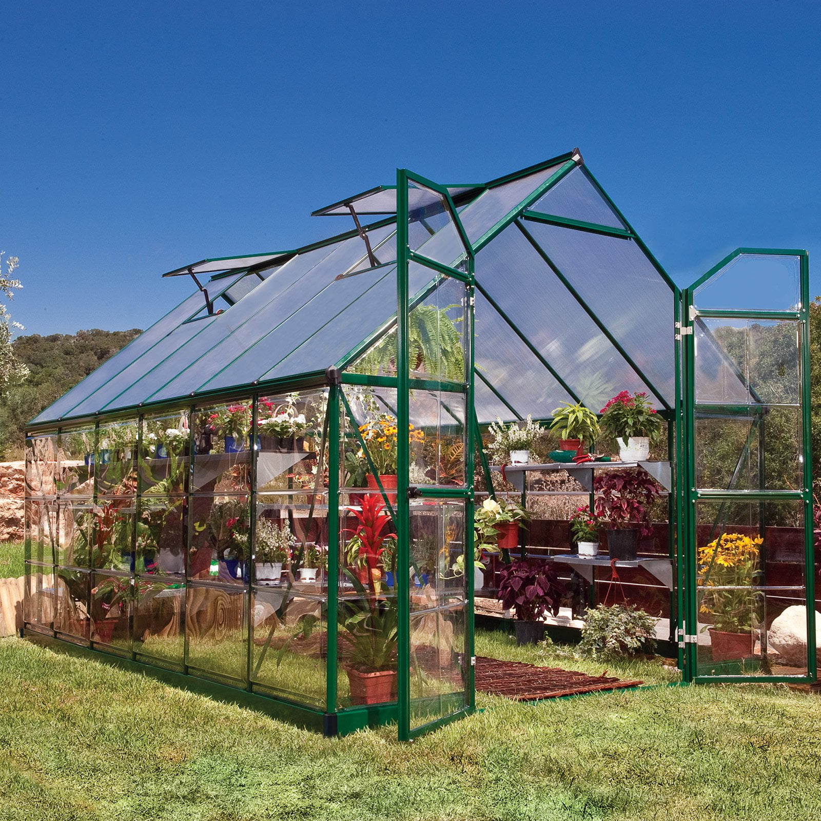 Green Balance 8' x 12' Greenhouse by Palram