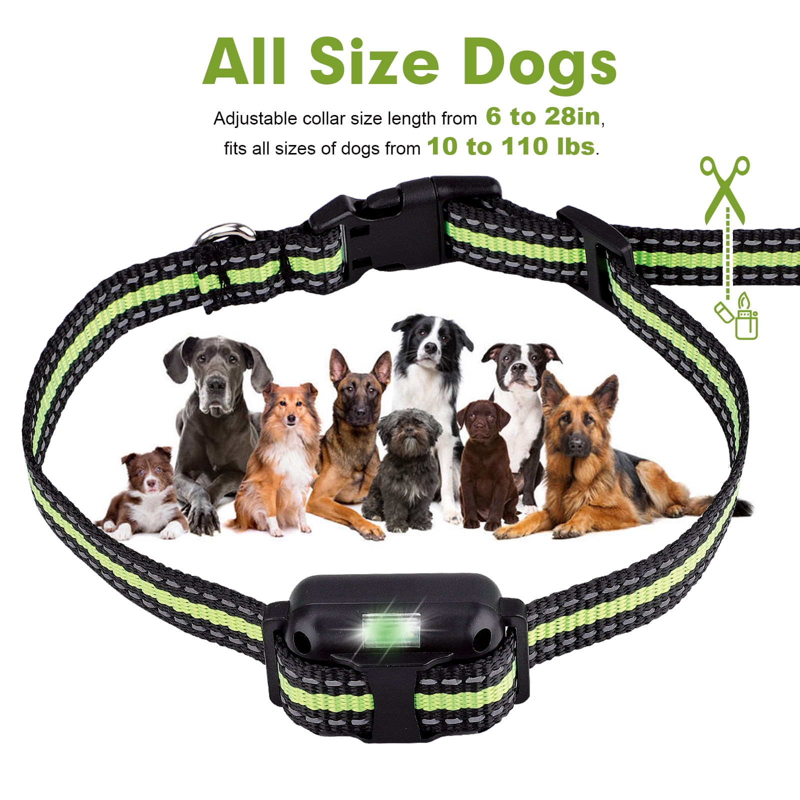 Stay Healthy and Active' Dog Treats [KA21#1073 Tasty Dog Treats] - $7.99 :  Best quality dog supplies at crazy reasonable prices - harnesses, leashes,  collars, muzzles and dog training equipment