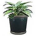 thumbnail image 3 of Trendspot 9" Bellville Crock Ceramic Planter- Blue, 3 of 3