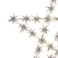 thumbnail image 5 of Hi-Line Gift Ltd. Mesmerizing 432 LED White Metal Snowflake Star Light, 5 of 8