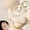 Beige BG, variant on Giunmcul up to 65% Off Wireless Bluetooth 5.4 Headphones with Microphone Open Ear Headphones 16H Open Ear Earbuds 14.2mm Drivers IPX5 Calls Suitable with Phones Tablet