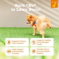 thumbnail image 2 of Zesty Paws Stay Green Bites Chicken Flavor Dog Supplement, 90 Count, 2 of 11