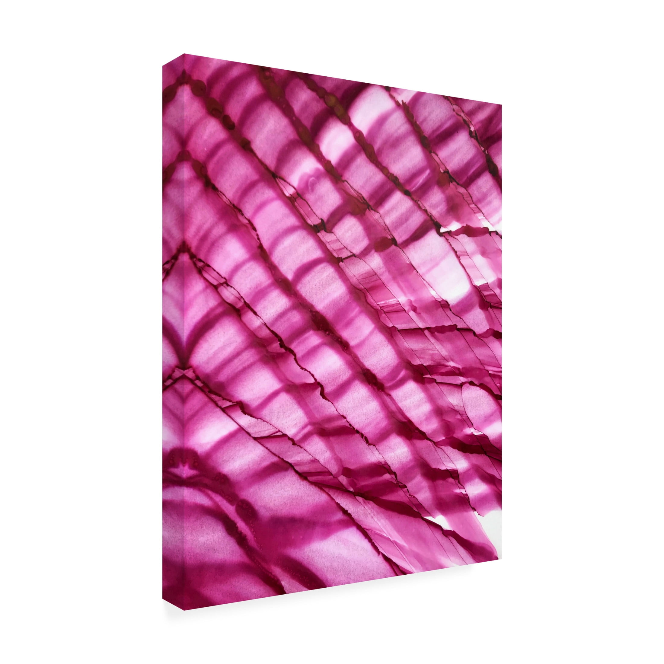 Trademark Fine Art Tara Mann Raspberry Ripple Canvas Wall Art