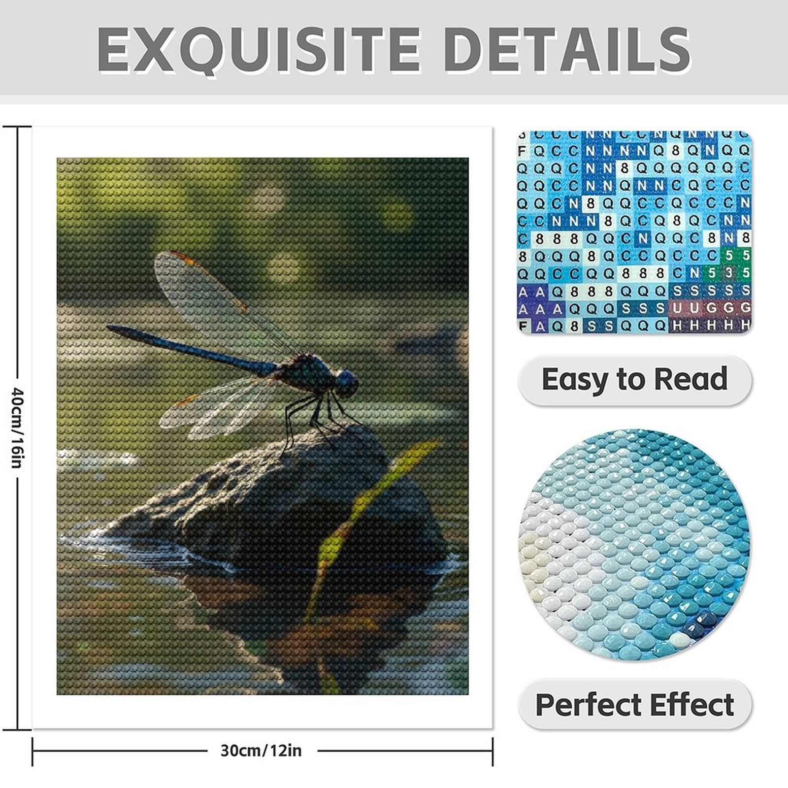 Diamond Art Kit for Adults, Dragonfly Resting On Rock Diamond Painting for Adults Beginners, 5D DIY Diamond Art Painting Kits, Colorful Diamond Painting Craft for Home Decor 12x16