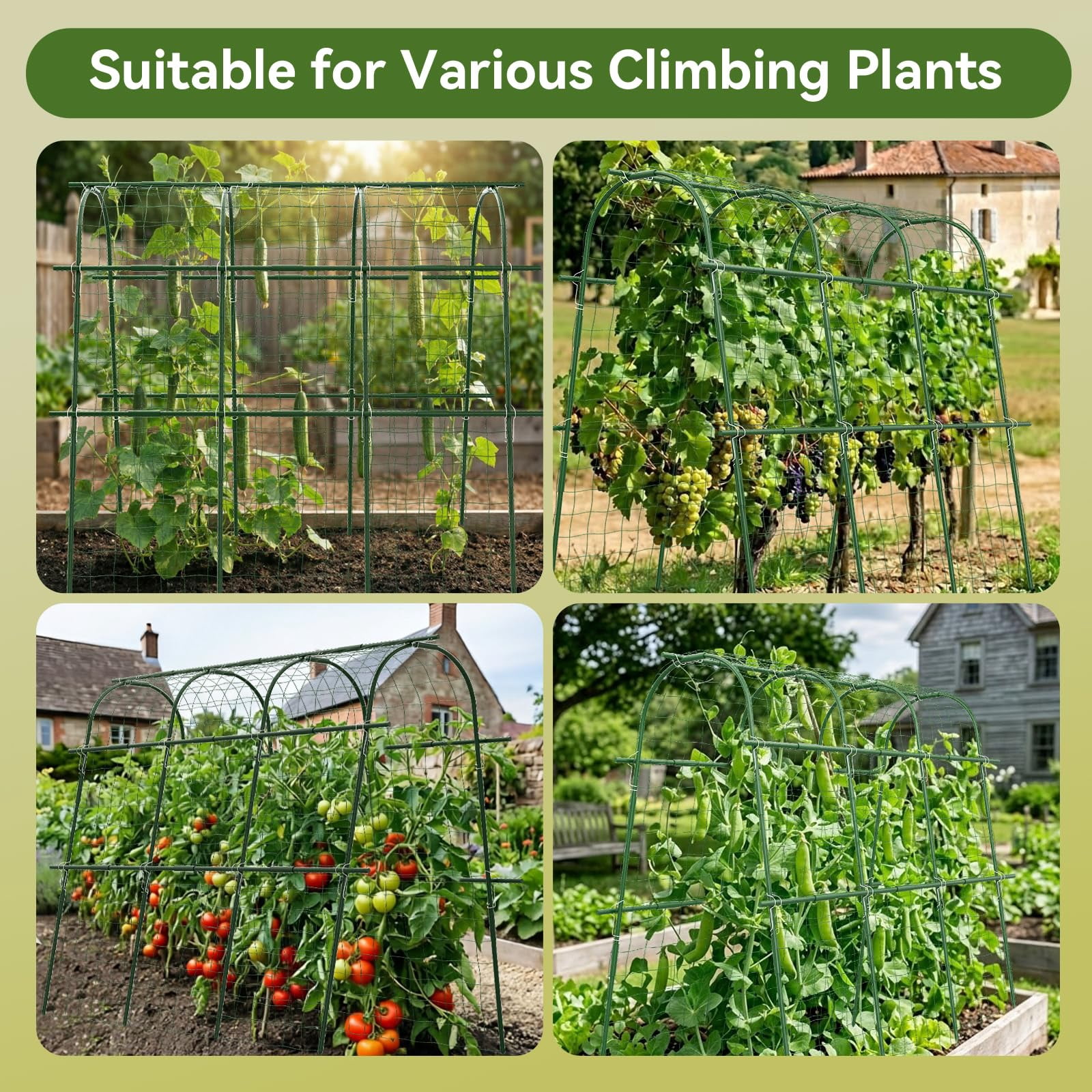 65"*48" Cucumber Trellis For Raised Bed  U-shape Garden Climbing Plants Outdoor Metal Arch Vegetables Detachable Plant Support Tomato Squash