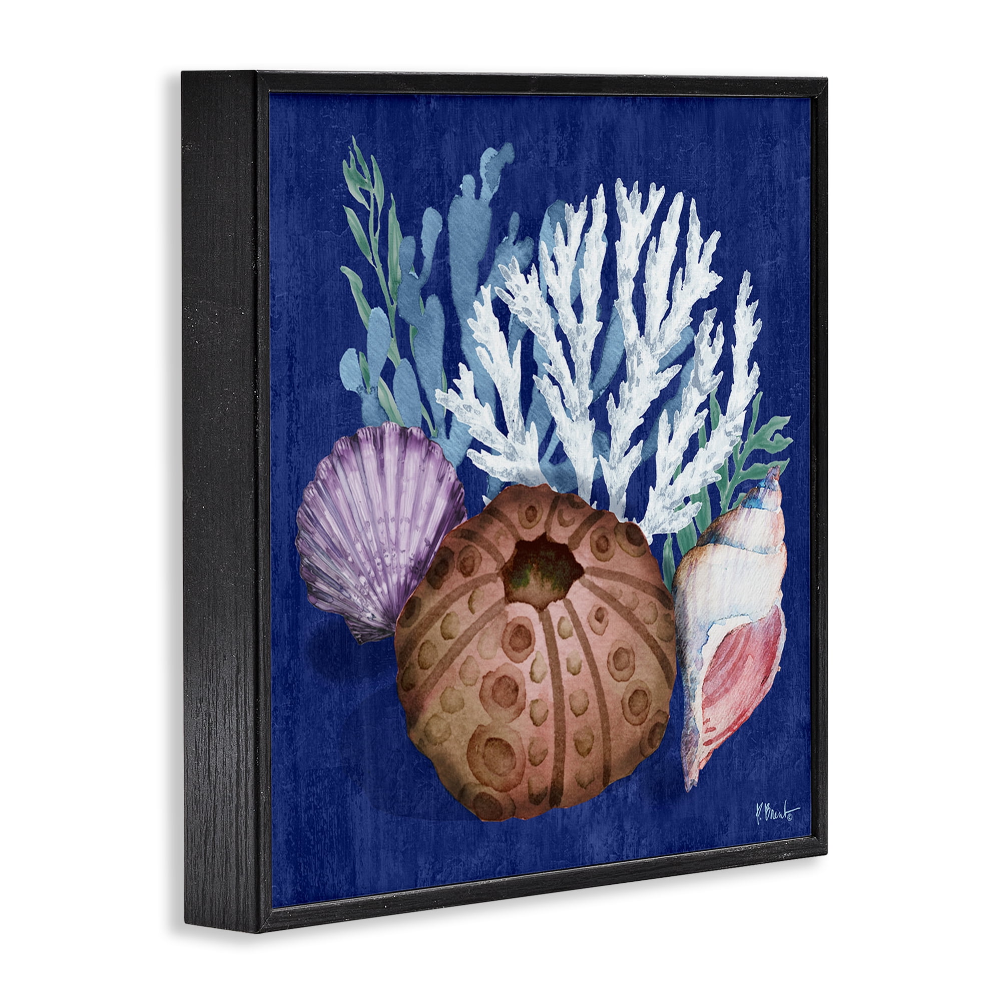 Stupell Industries Urchin & Coral Still Life Coastal Painting Black Framed Art Print Wall Art, 17 x 17