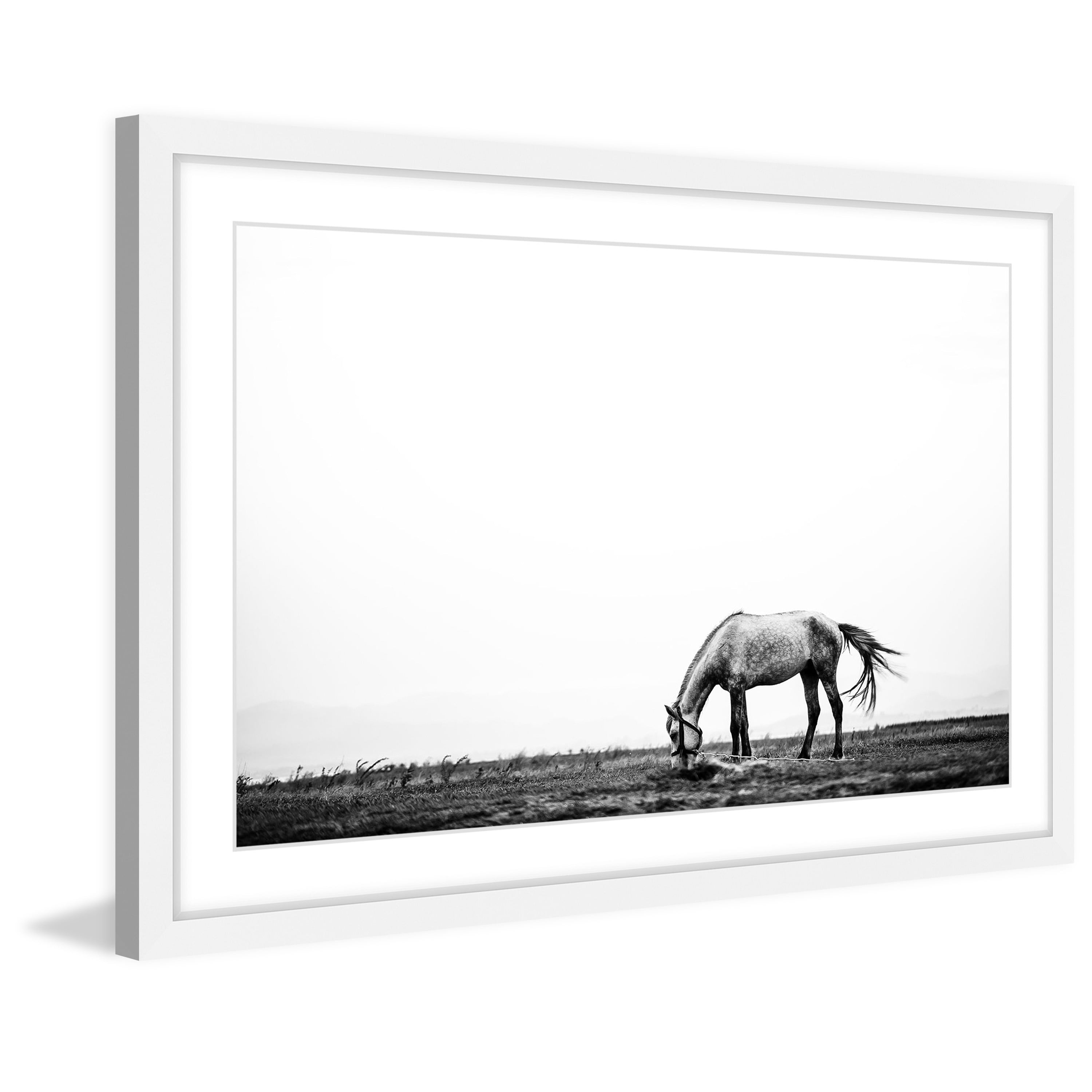 Marmont Hill "Lone White Equus" Framed Painting Print