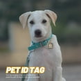 thumbnail image 4 of Pet ID Tag Cat Tag Pendant Kitten Tag Round Tag Metal Pet Name Tag Pet Supply, 4 of 5