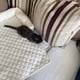 thumbnail image 3 of Velvet Pet Dog Bed Sofa Blanket For Medium Large Dogs Removable Washable Mat Warm Kennel Pet Cat Mats Couch Protector Pet Beds ShopWise Round, 3 of 14