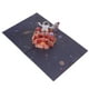 thumbnail image 1 of Tarjeta de cumpleaños emergente, tarjeta de cumpleaños 3D, tarjetas de cumpleaños de astronauta, tarjetas D, tarjetas de felicitación, rendimiento de alta gama, 1 of 14