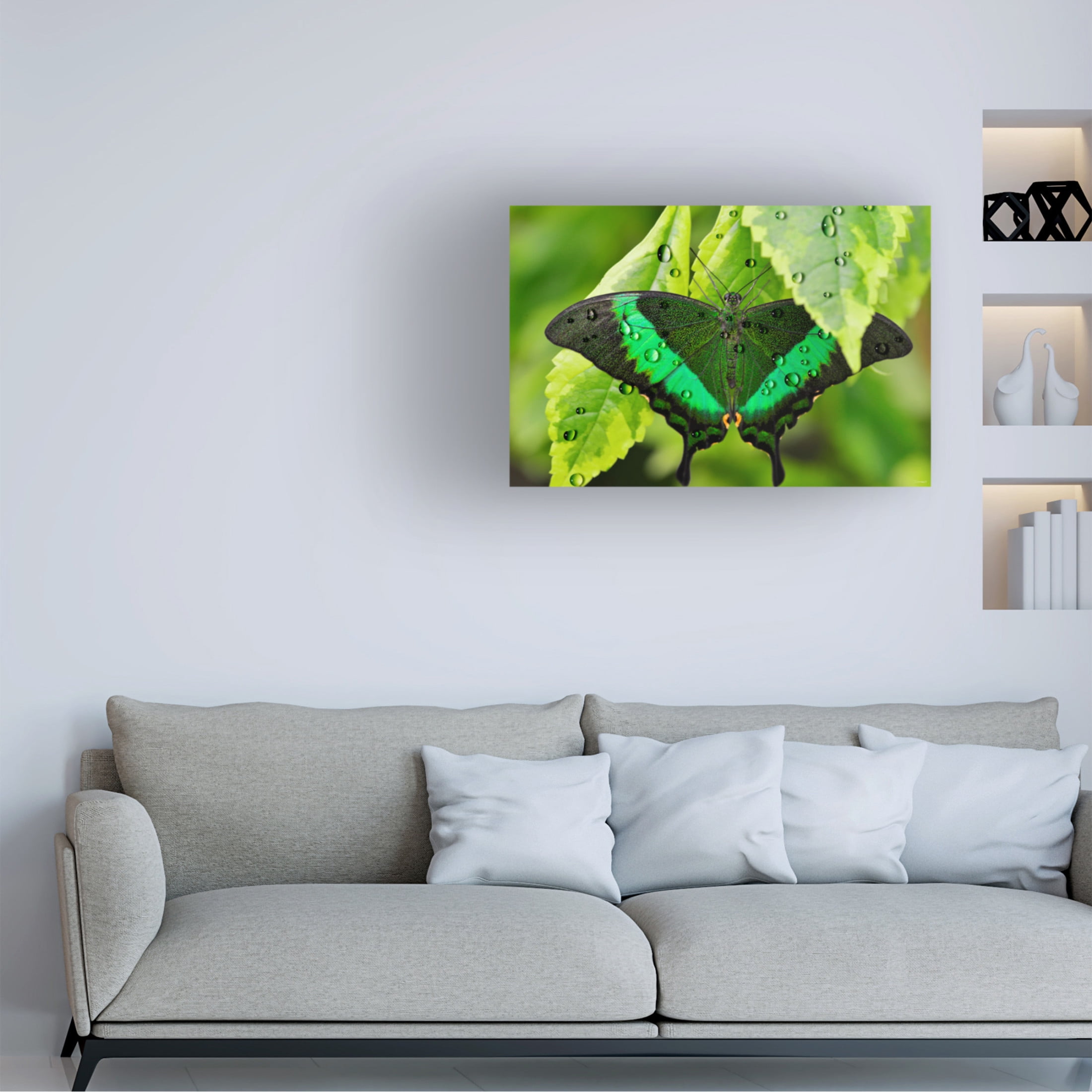 Canvas Wall Art - Gordon Semmens 'Textures 11' Wall Art for Living Room, Bedroom, or Office Décor by Trademark Fine Art - 24 x 16 Inches