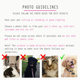 thumbnail image 5 of Adorno navideño personalizado para mascotas, adorno navideño con foto de perro y gato, retrato de gato, regalo con nombre, 5 of 5