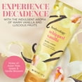 thumbnail image 3 of Bodycology Whipped Vanilla Shea Butter Body Cream, 8 oz, 3 of 9