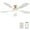 Golden & White, variant on POPFAN 52 Inch Ceiling Fan with Dimmable 3 Colors LED Light Reversible Noiseless DC Motor Smart APP Remote Control, Sliver & Black