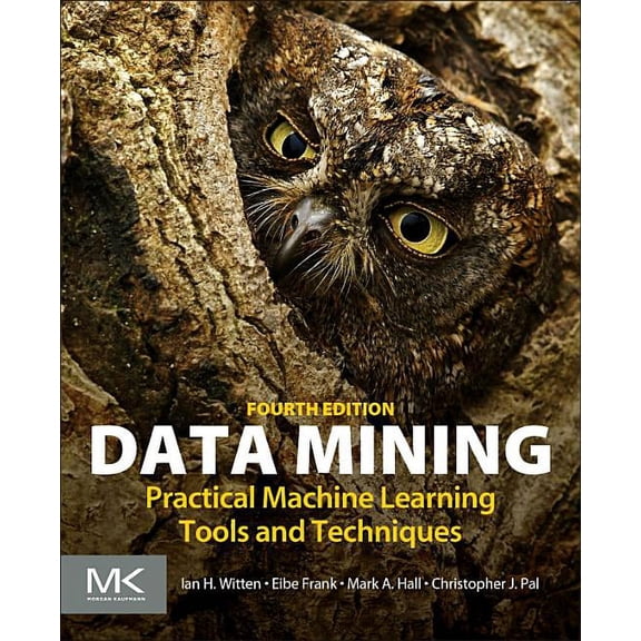 Data Mining: Practical Machine Learning Tools and Techniques, (Paperback)