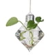 thumbnail image 3 of Pared De Vidrio Florero Colgando Bombilla Botella Para Las Decoraciones De Flores De Plantas Soledad none, 3 of 4