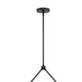 thumbnail image 7 of Crystorama Lighting - Xavier - 2 Light Chandelier In Modern Style-15 Inches Tall, 7 of 7