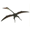 thumbnail image 2 of Quetzalcoatlus flying pterosaur. Poster Print by Corey Ford/Stocktrek Images, 2 of 2