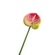 thumbnail image 2 of Flor de imitación de anturio,grulla de fuego,palmera artificial,arreglo floral para el salón de bodas,vegetación para el hogar,flores artificiales decorativas, 2 of 6