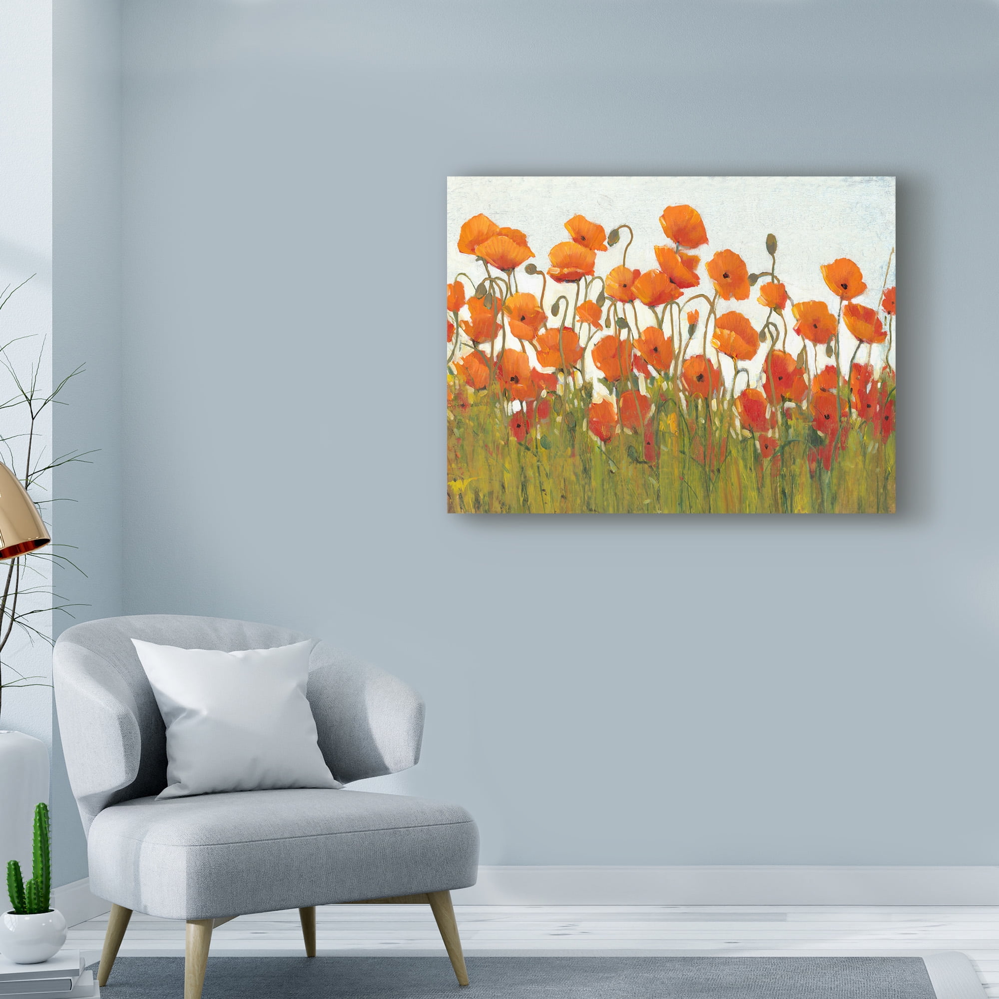 Trademark Fine Art Floral Canvas Art ' Rows Of Poppies Ii ' by Tim OToole