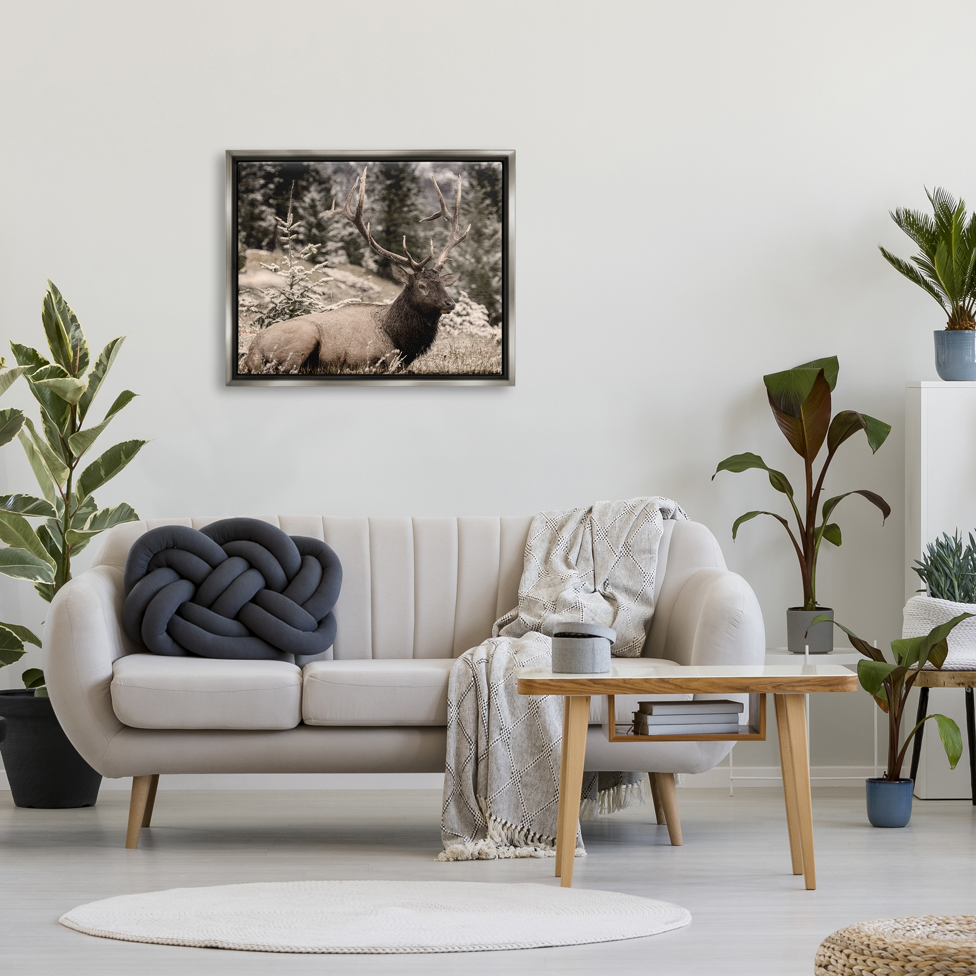 Stupell Industries Elk in Nature Photography Animals & Insects Photography Gray Floater Framed Canvas Art Print Wall Art, 31 x 25