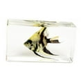 thumbnail image 1 of ED SPELDY EAST FH204 Poisson en Papier Moyen Poisson Ange, 1 of 1