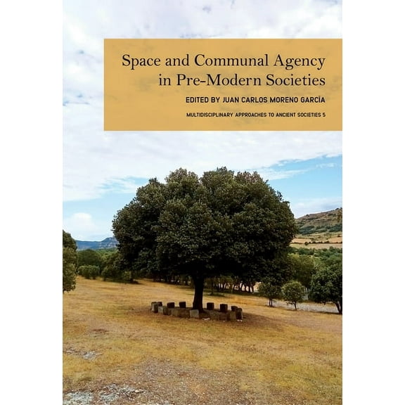 Multidisciplinary Approaches to Ancient  Space and Communal Agency in Pre-Modern Societies, (Hardcover)