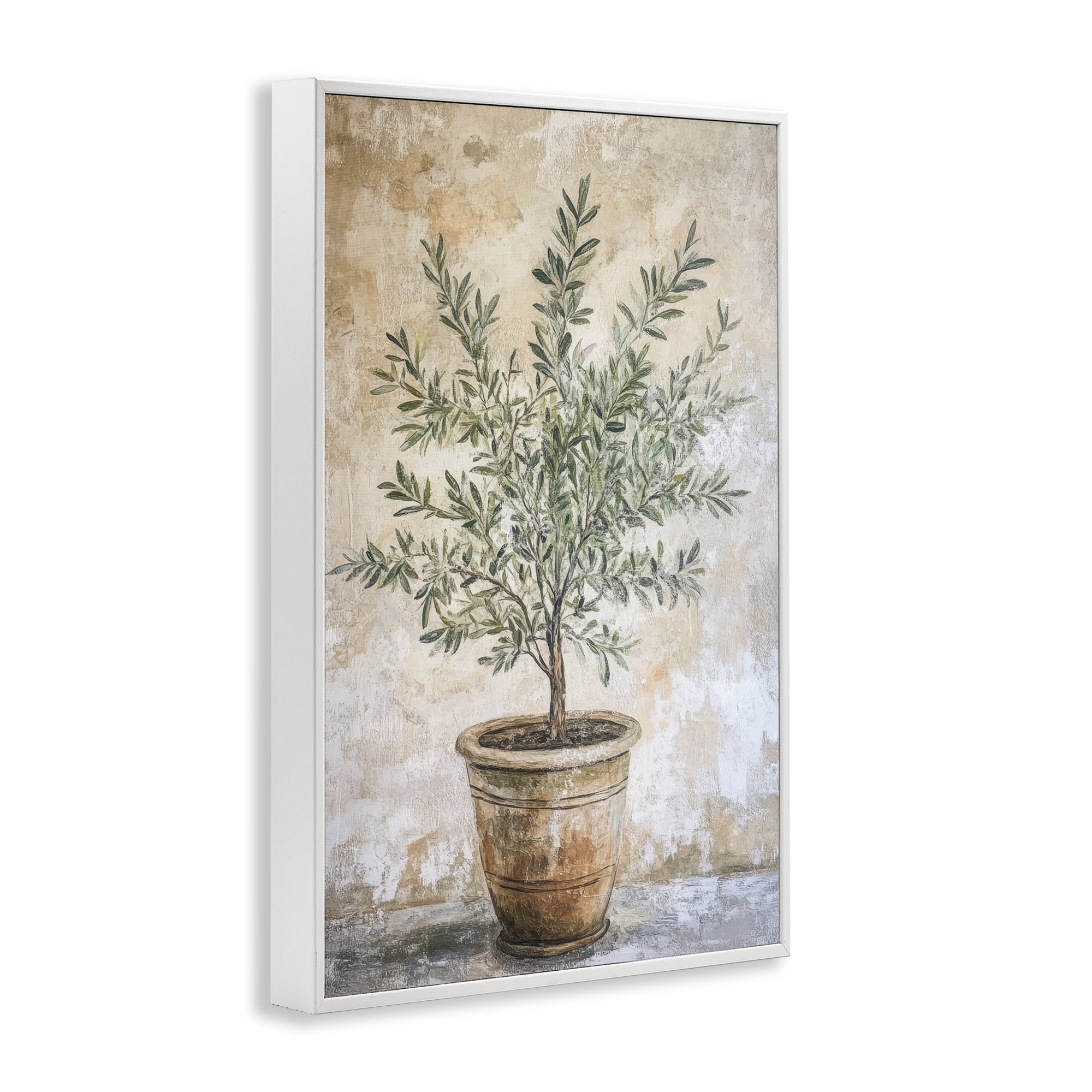 Stupell Industries Mediterranean Potted Olive White Framed Giclee Art, design by Petal Prints Design