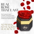 thumbnail image 2 of GLAMOUR BOUTIQUE Hexagon Single Forever Red Rose Box - Preserved Roses in a Box, Immortal Roses in a Box That Last A Year - Eternal Rose Preserved Flowers for Delivery Prime Mothers & Valentines Day, 2 of 9