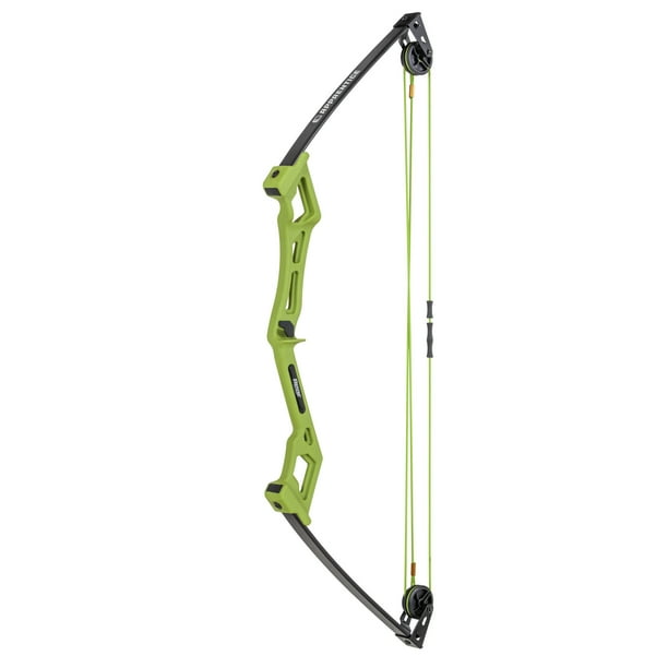 archery set bow and arrow