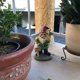 thumbnail image 5 of Gnomo de Jardín Sincero Decoración Hombre GNOME Resina 14,5*8 cm Verde Azul Blanco, 5 of 5